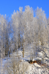 Similar image 21721581