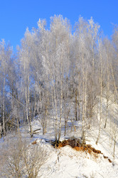 Similar image 21721585