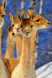 Similar image 21721588