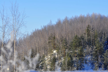 Similar image 21721589