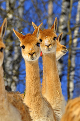 Similar image 21721592