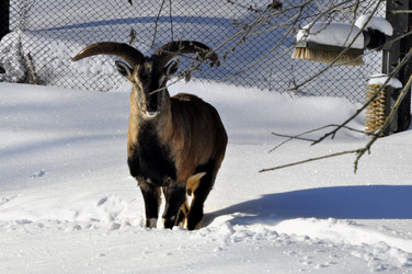 Similar image 21721594