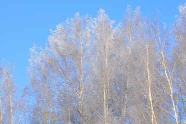 Similar image 21721595