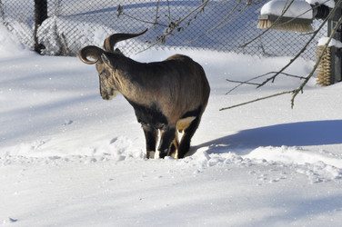 Similar image 21721596