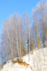 Similar image 21721597