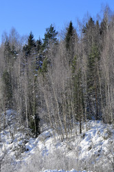 Similar image 21721598