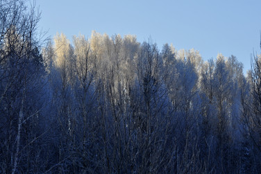 Similar image 21721601