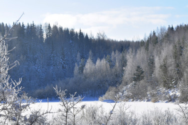 Similar image 21721602