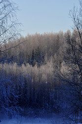 Similar image 21721603