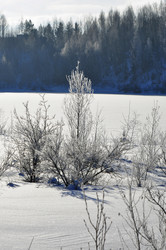 Similar image 21721606