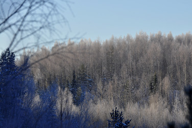 Similar image 21721607