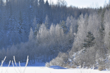 Similar image 21721608