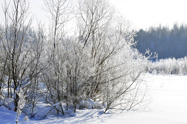 Similar image 21721610