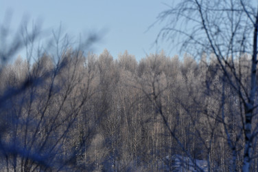 Similar image 21721611