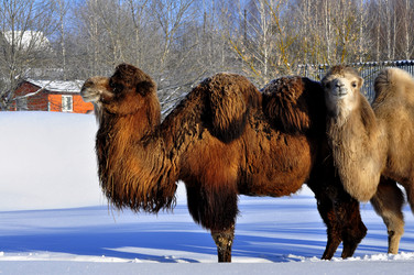 Similar image 21721612