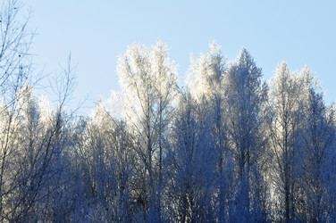 Similar image 21721613