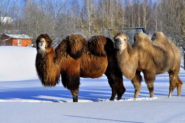 Similar image 21721614