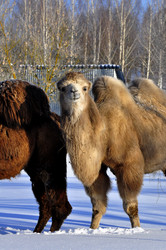 Similar image 21721616