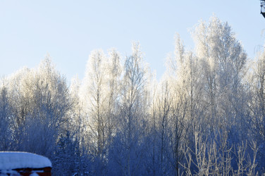 Similar image 21721617