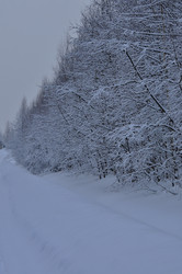 Similar image 21721618