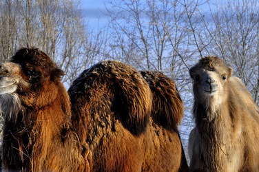 Similar image 21721619