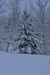 Similar image 21721620