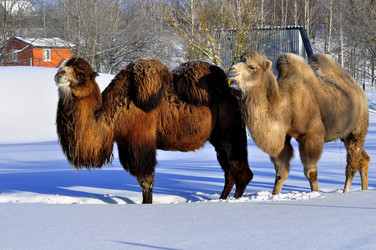 Similar image 21721621