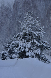 Similar image 21721622