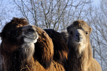 Similar image 21721623