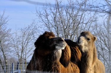 Similar image 21721625