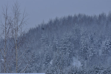 Similar image 21721626