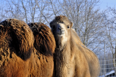 Similar image 21721627