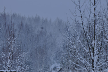 Similar image 21721628