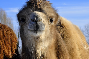 Similar image 21721629