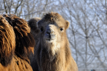 Similar image 21721631