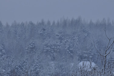 Similar image 21721632