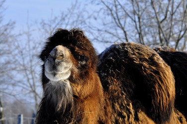 Similar image 21721633