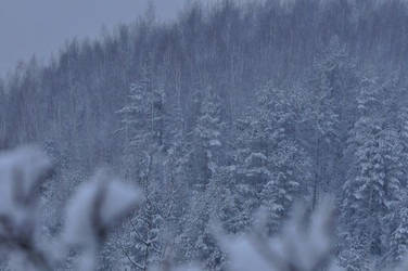 Similar image 21721634