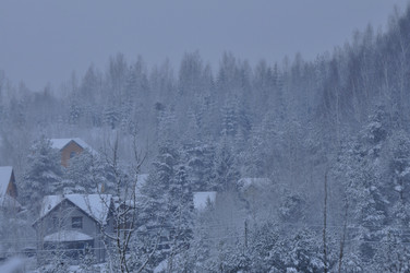 Similar image 21721635