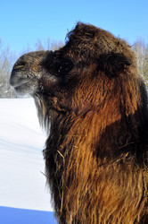 Similar image 21721636