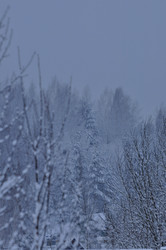 Similar image 21721637