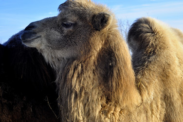 Similar image 21721638