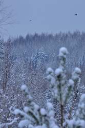 Similar image 21721640