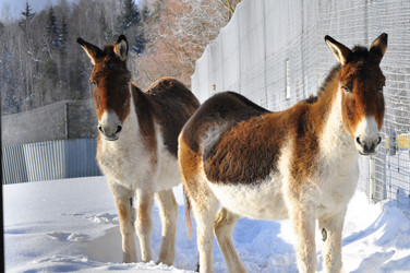 Similar image 21721641