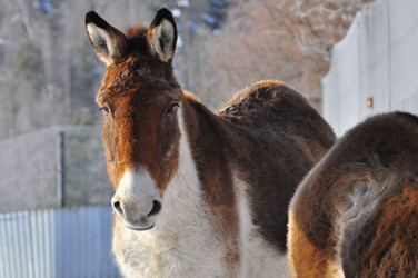 Similar image 21721643