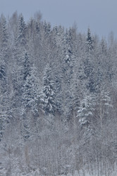 Similar image 21721644