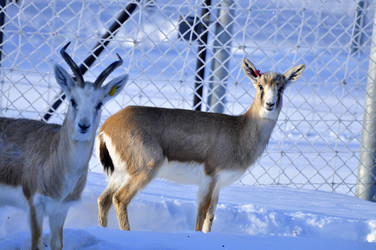 Similar image 21721645