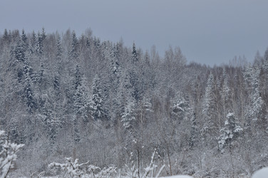 Similar image 21721646