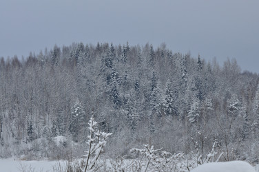 Similar image 21721647