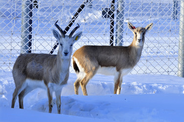 Similar image 21721650